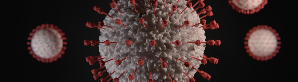 COVID-19 virus