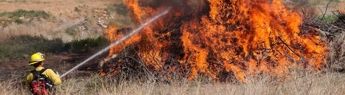 wildland firefighter putting out fire in an open field