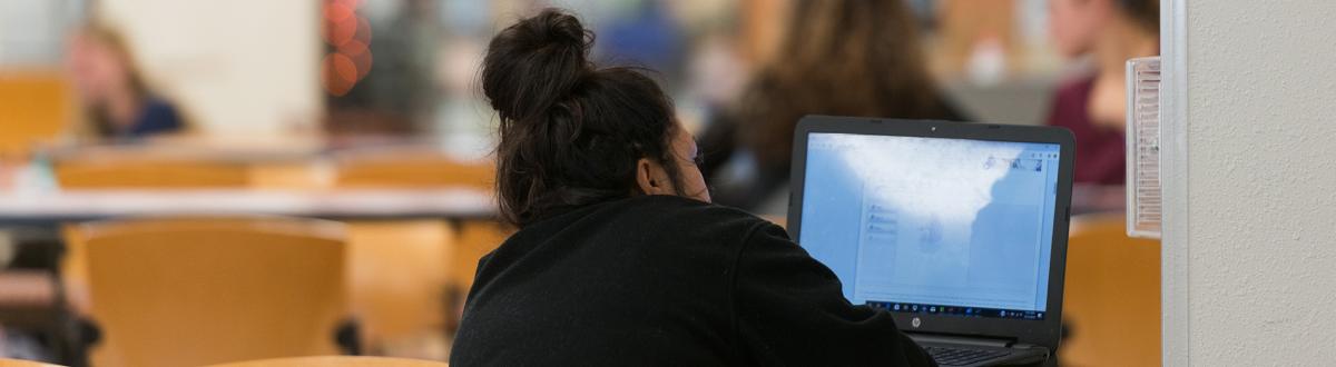 back of student looking at laptop