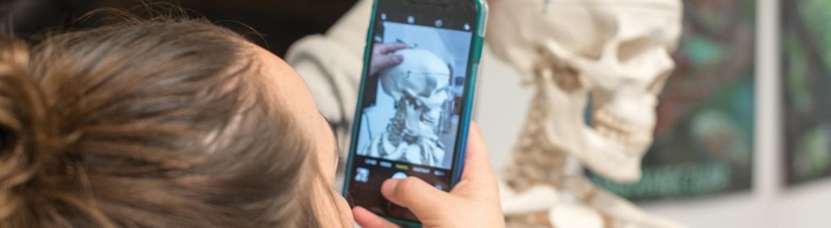 Student taking photograph of skeleton